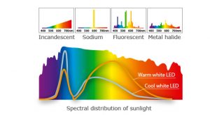 hcl_spectral-distribution