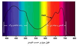 نمودار میزان PAR دریافتی و مراحل رشد گیاه در طول موجهای مختلف نور مریی